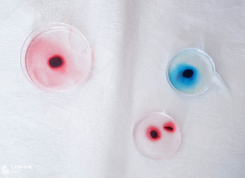taller arte microscopico